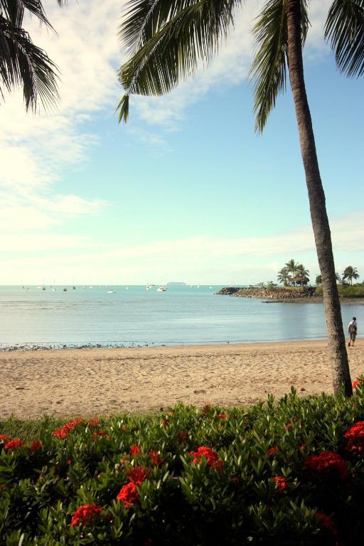 Airlie Waterfront Accommodation Airlie Beach Exteriör bild